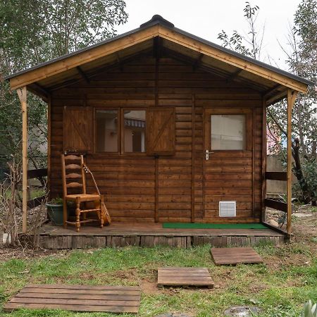Le Phenix - Hypercentre 16 Personnes Garage Gratuit Wifi Jardin Barbecue Proche Parc Tete D'Or Apartment Вильорбан Екстериор снимка